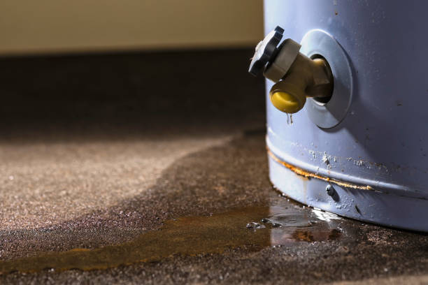 Best Flooded house restoration  in South Woodstock, CT