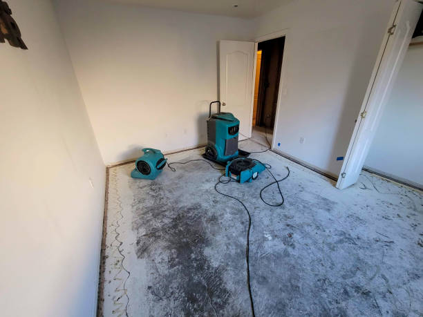 Best Carpet water damage restoration  in South Woodstock, CT