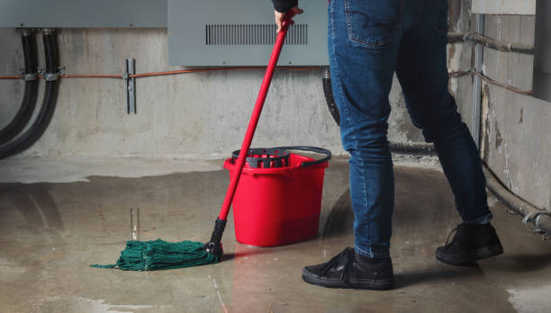 Best Mold removal after water damage  in South Woodstock, CT
