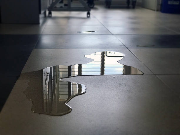 Best Local water damage restoration  in South Woodstock, CT
