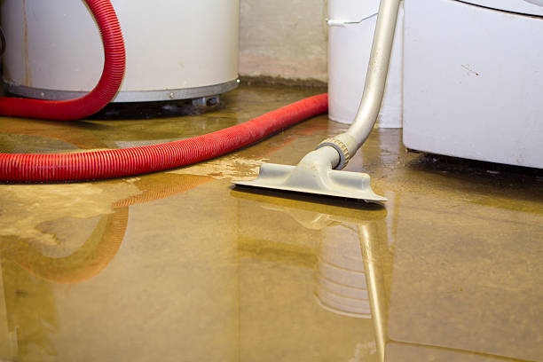 Best 24/7 water damage repair  in South Woodstock, CT