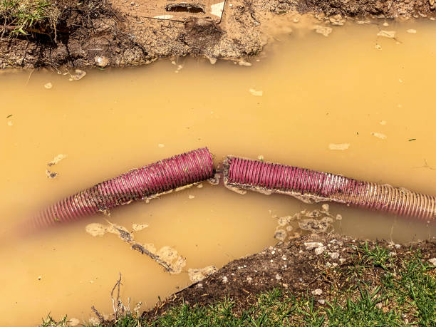 Professional Water damage restoration in CT