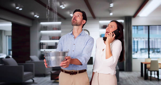 Best Water damage cleanup near me  in South Woodstock, CT