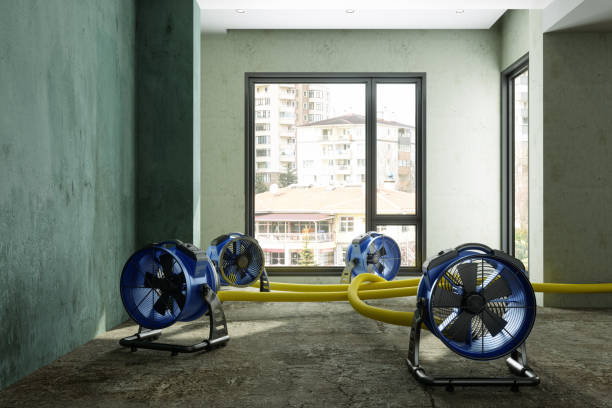 Best Basement water damage restoration  in South Woodstock, CT